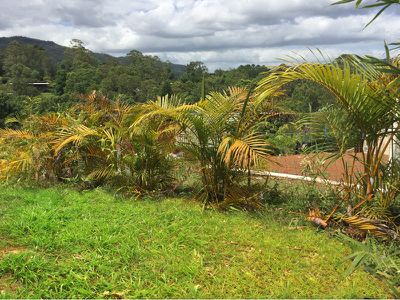 34 Tulsi Lane, Nimbin
