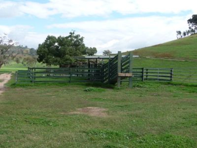 Koetong Creek Road, Granya