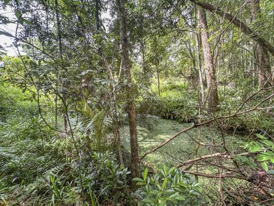 92 Cash Road, Eumundi