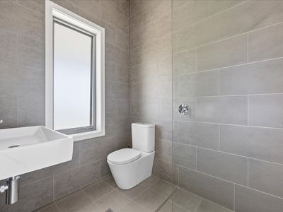 12 Scenic View, Razorback