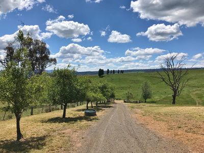 564 Soldiers Road, Barwite