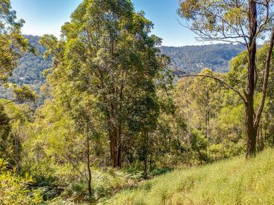 1334 TAMBORINE OXENFORD ROAD, Wongawallan