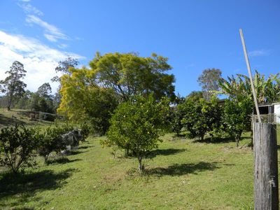Maleny