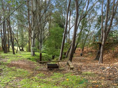 22 Fiddleback Drive, Tawonga South