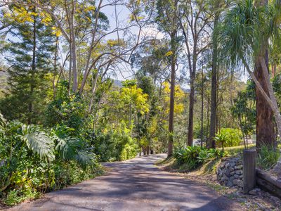 1194 Tamborine-Oxenford Road, Wongawallan