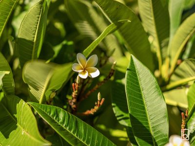 327 Warnervale Road, Hamlyn Terrace