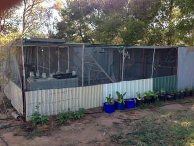 Cobb Highway, Deniliquin