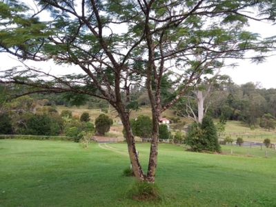 1735 Nimbin Road, Coffee Camp