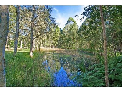 860 Sunrise Road, Tinbeerwah