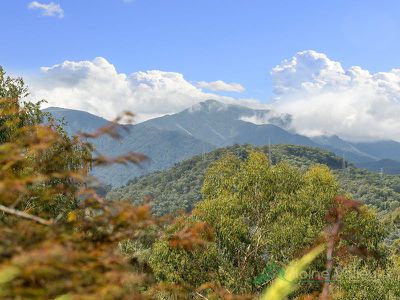 169 Simmonds Creek Road, Tawonga South