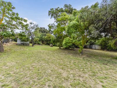 53 Williams Road, Millicent