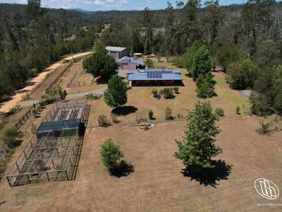 115 Gulph Creek Road, Nerrigundah