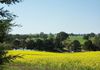 517 Peabody Road, Molong