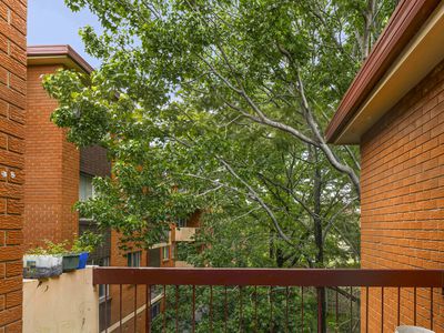 19 / 828 Canterbury Road, Roselands
