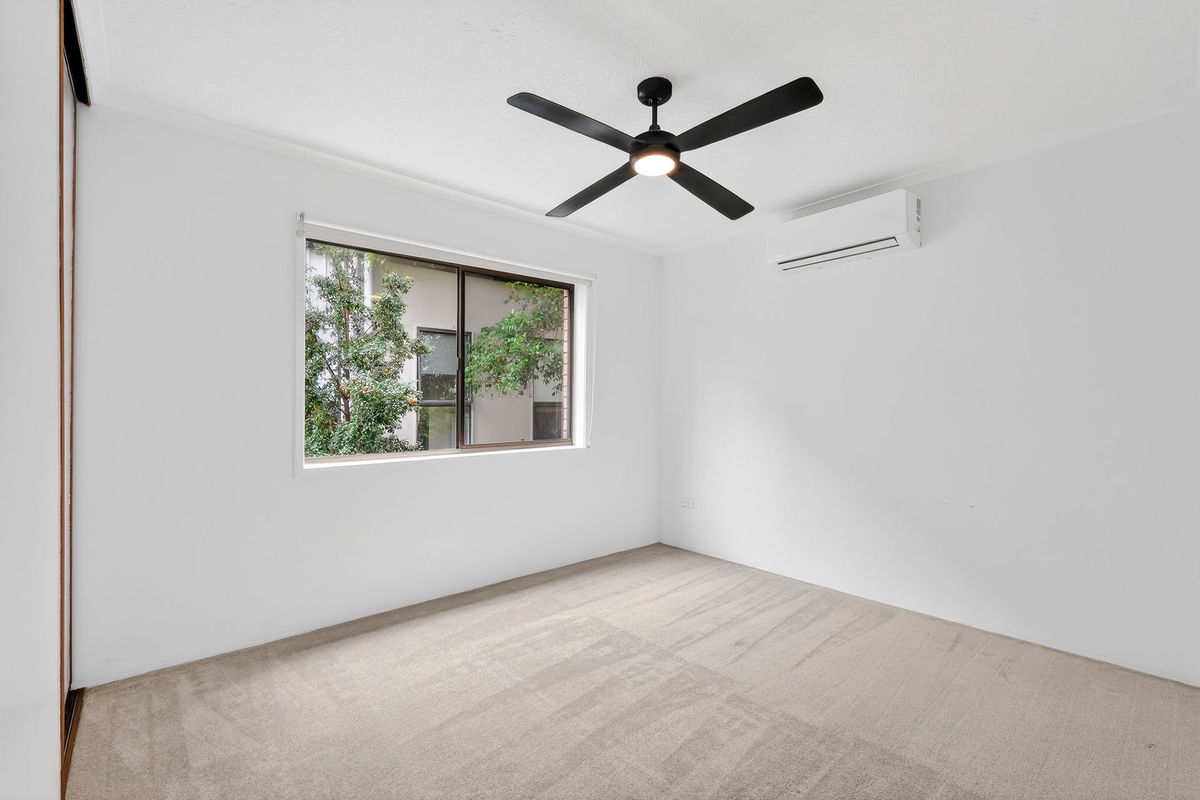 5 / 32 IMPERIAL PARADE, Labrador