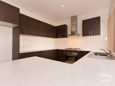 46 Hal Porter Terrace, Lynbrook