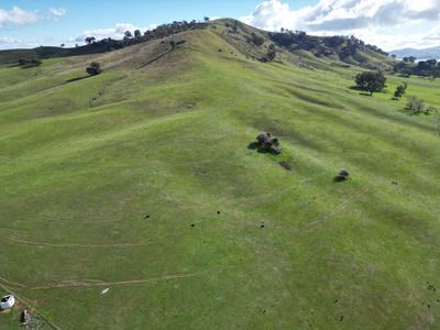 Lot 1, LP135805 Kiewa East Road, Tangambalanga
