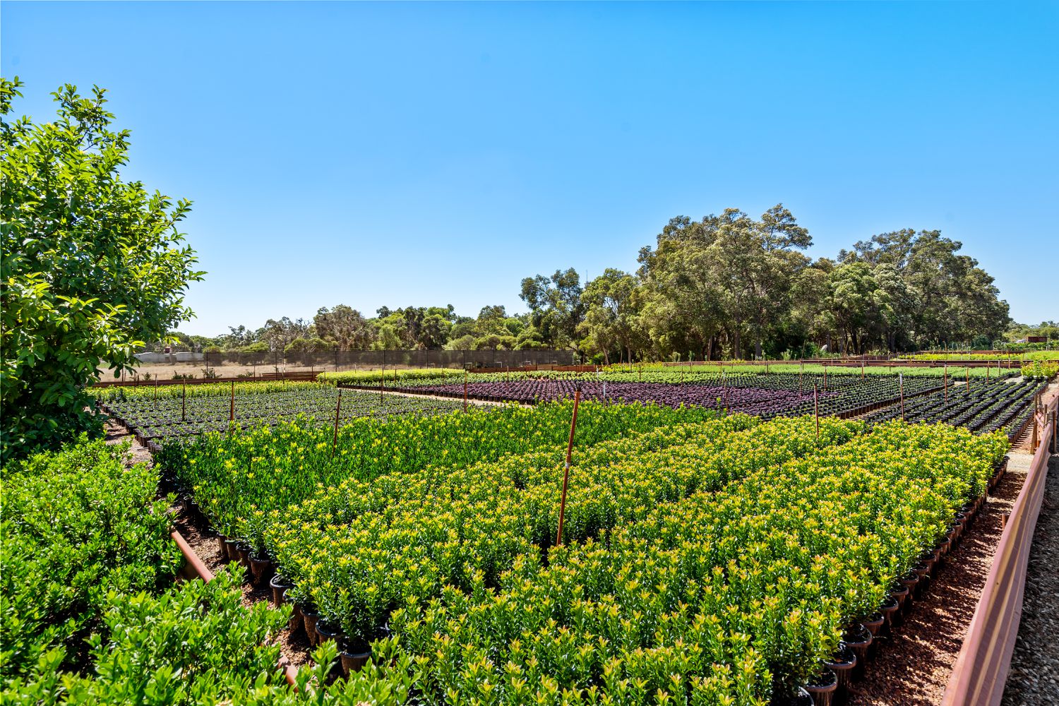 37 Landgren Road, Casuarina