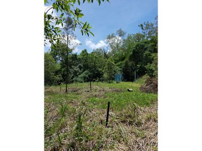 Lot 36, 435 Shiptons Flat Road, Rossville