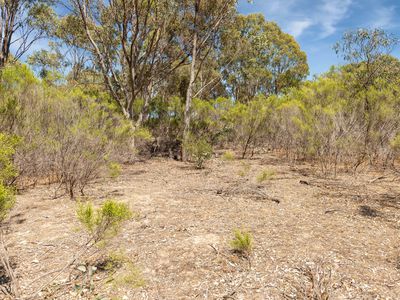 Lot 40 Hakea Court, Heathcote