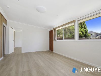 30 Stuart Street, Canley Vale