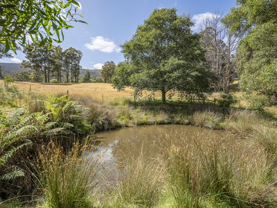 114 Gums Road, Mountain River