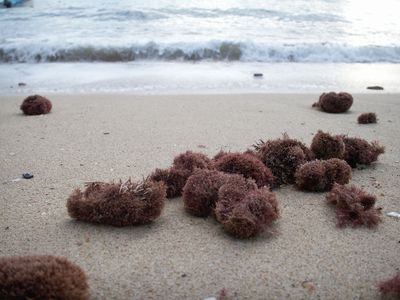 94 Gloucester Avenue, Hideaway Bay