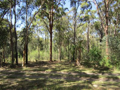 53 Biddulph Street, Eraring