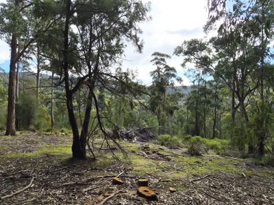 Lot 2, Off Paddys Lane, Franklin