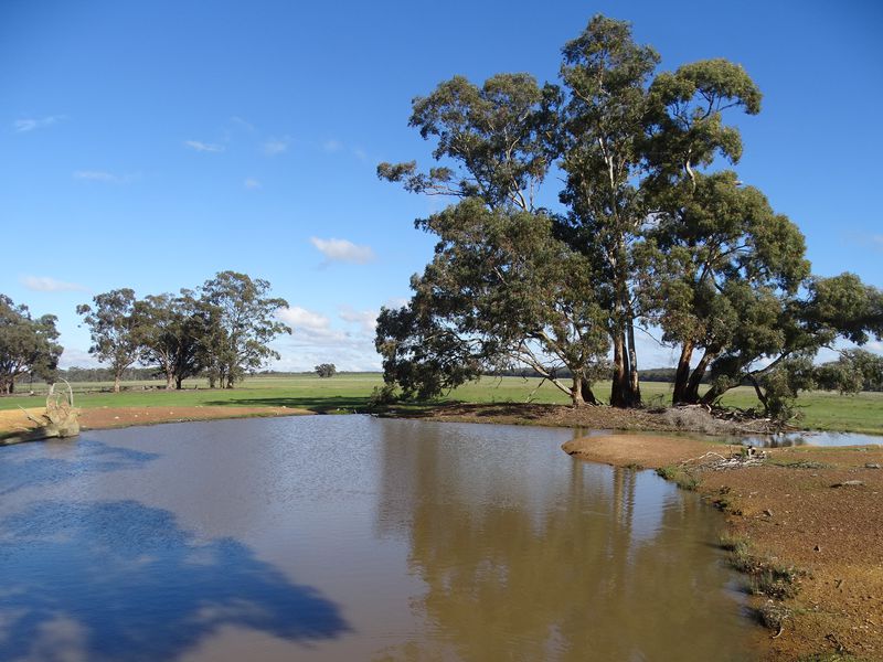 351 Tattersalls Lane, Moormbool West