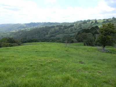 126-162 Reesville Road, Maleny