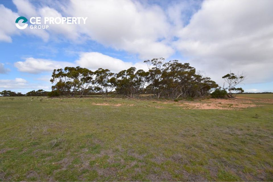 146 Black Hill Flood Road, Cambrai