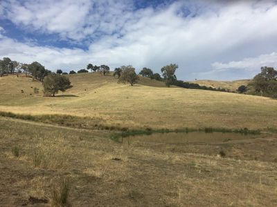 . Sandy Creek Road, Sandy Creek