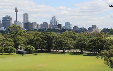 21 / 58A Flinders St, Darlinghurst