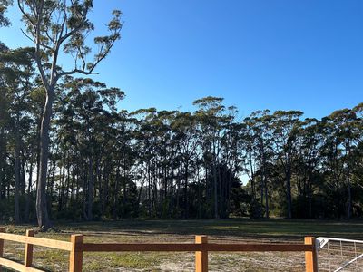 10 White Gum Road, Ulladulla