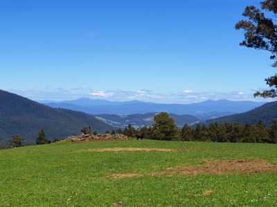 Lot 1 (51 Acres) Coal Mine Road, Kaoota