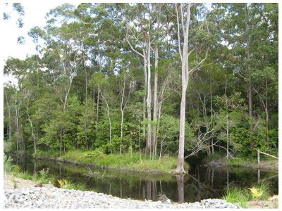 Lot 38 Lilyponds Rise Estate, Mapleton