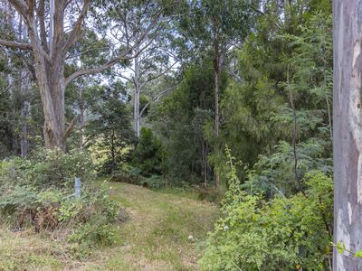 Lot 1, Lonnavale Road , Lonnavale