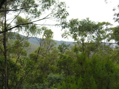 Reeves Road, Pelverata