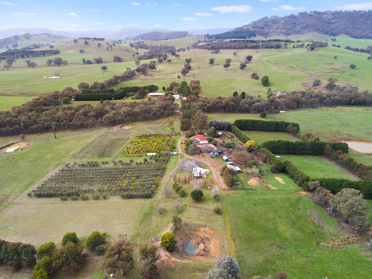 2520 Samaria Road, Moorngag
