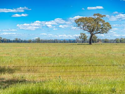 CA1, Section W Taylors Bridge Road, Norong