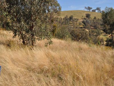 5 Love Lane, Splitters Creek