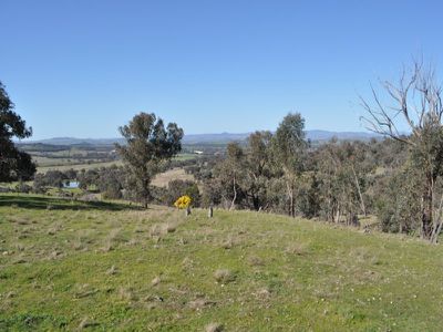 259 / Central Reserve Road, Ettamogah