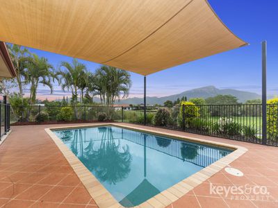 28 Manersley Place, Annandale