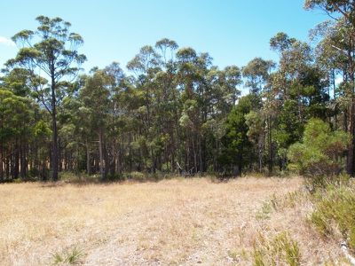 11 Twin Rivers Lane, Grove