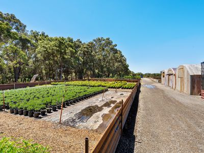 37 Landgren Road, Casuarina