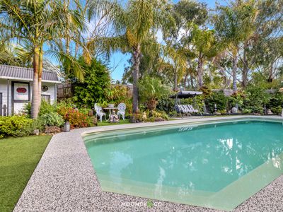 11 Waterville Vista, Cranbourne