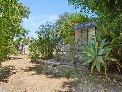 28 Dorothy Street, Ashfield