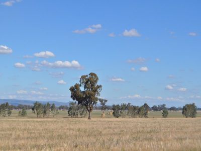 . Henty-walla Road, Culcairn