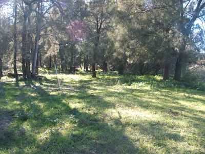 Lot 2 Mole River Road, Glen Innes
